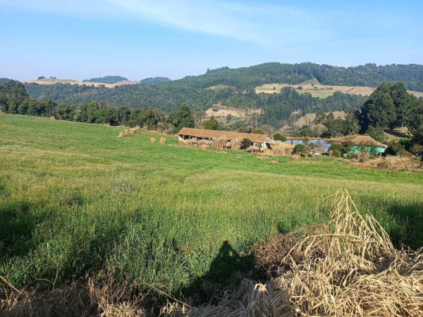 Propriedade Rural - Venda