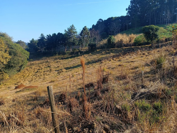 Propriedade Rural - Venda