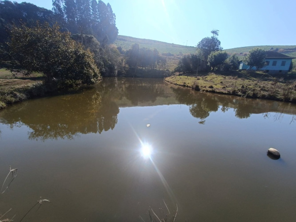 Propriedade Rural - Venda