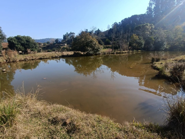 Propriedade Rural - Venda