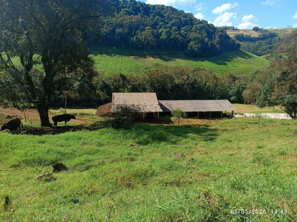 Propriedade Rural - Venda