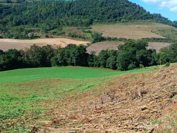 Propriedade Rural - Venda