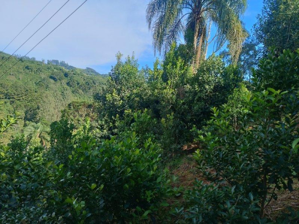 Propriedade Rural - Venda