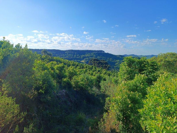 Propriedade Rural - Venda