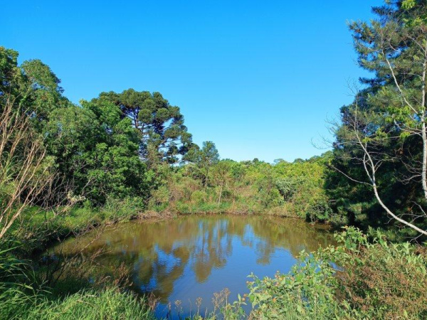 Propriedade Rural - Venda