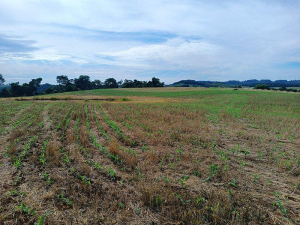 Propriedade Rural - Venda
