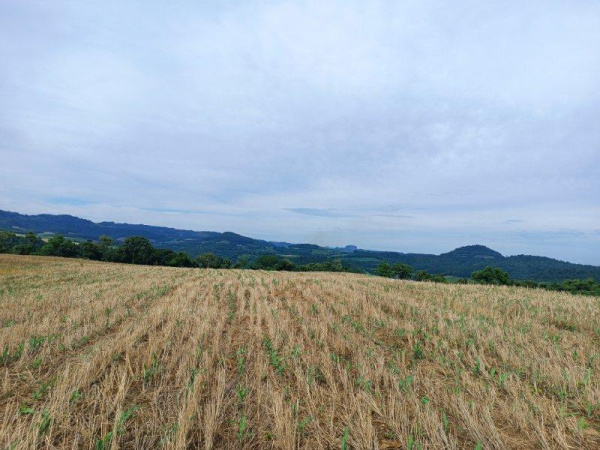 Propriedade Rural - Venda