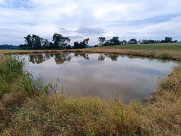 Propriedade Rural - Venda
