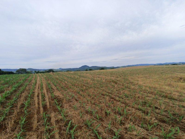 Propriedade Rural - Venda