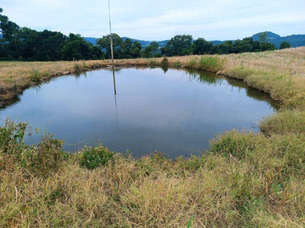Propriedade Rural - Venda