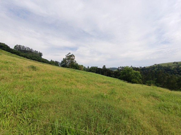 Propriedade Rural - Venda