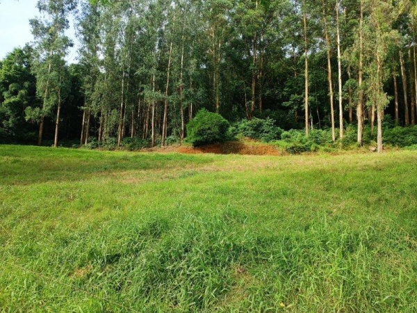 Propriedade Rural - Venda
