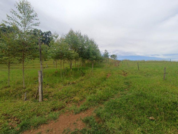 Propriedade Rural - Venda