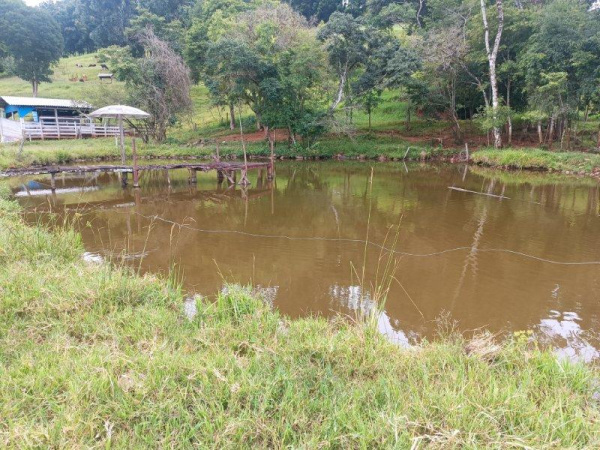 Propriedade Rural - Venda