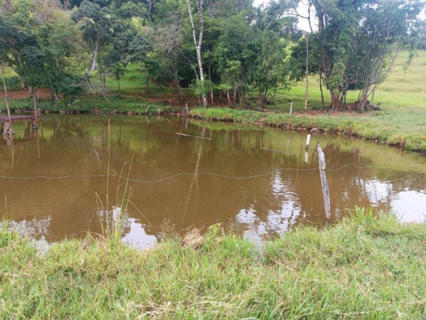 Propriedade Rural - Venda