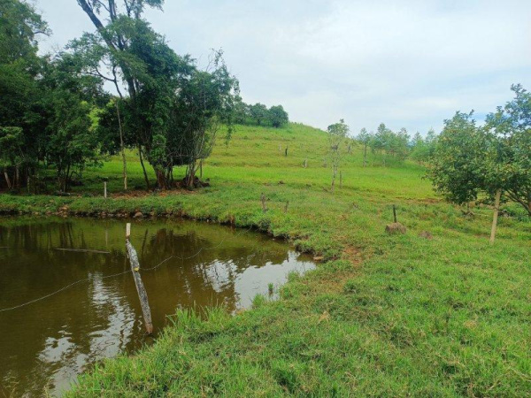 Propriedade Rural - Venda